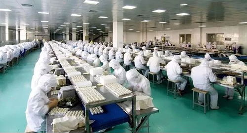食品廠生產(chǎn)車(chē)間霉菌超標(biāo)的原因分析及防治方案
